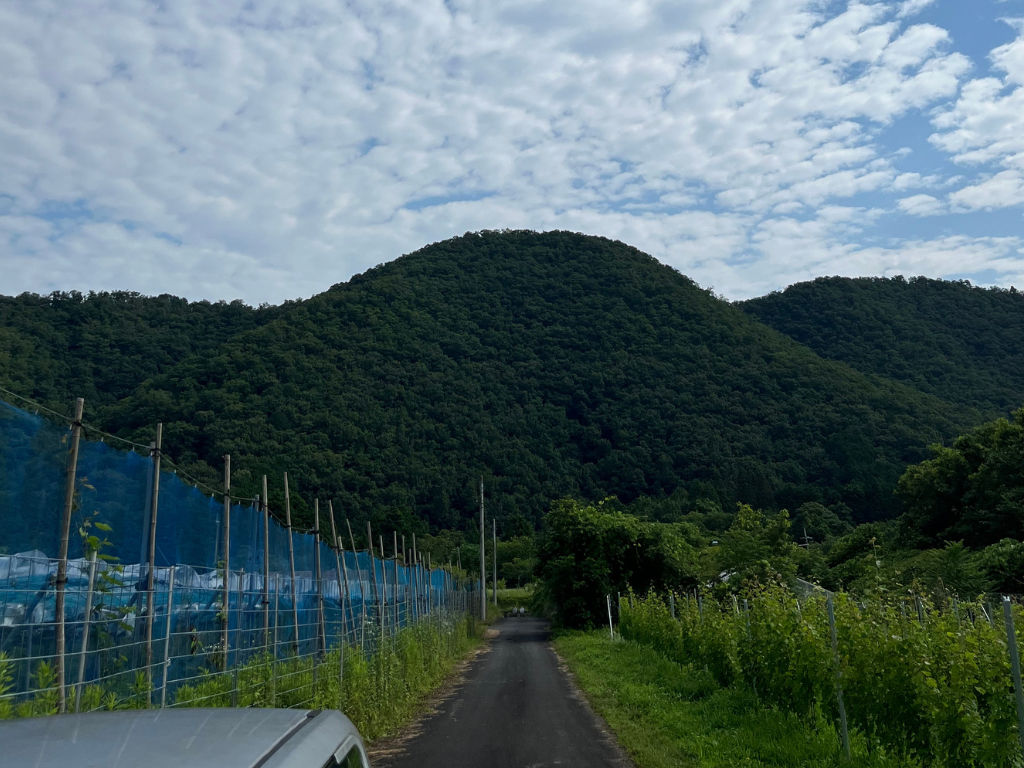 お盆休み