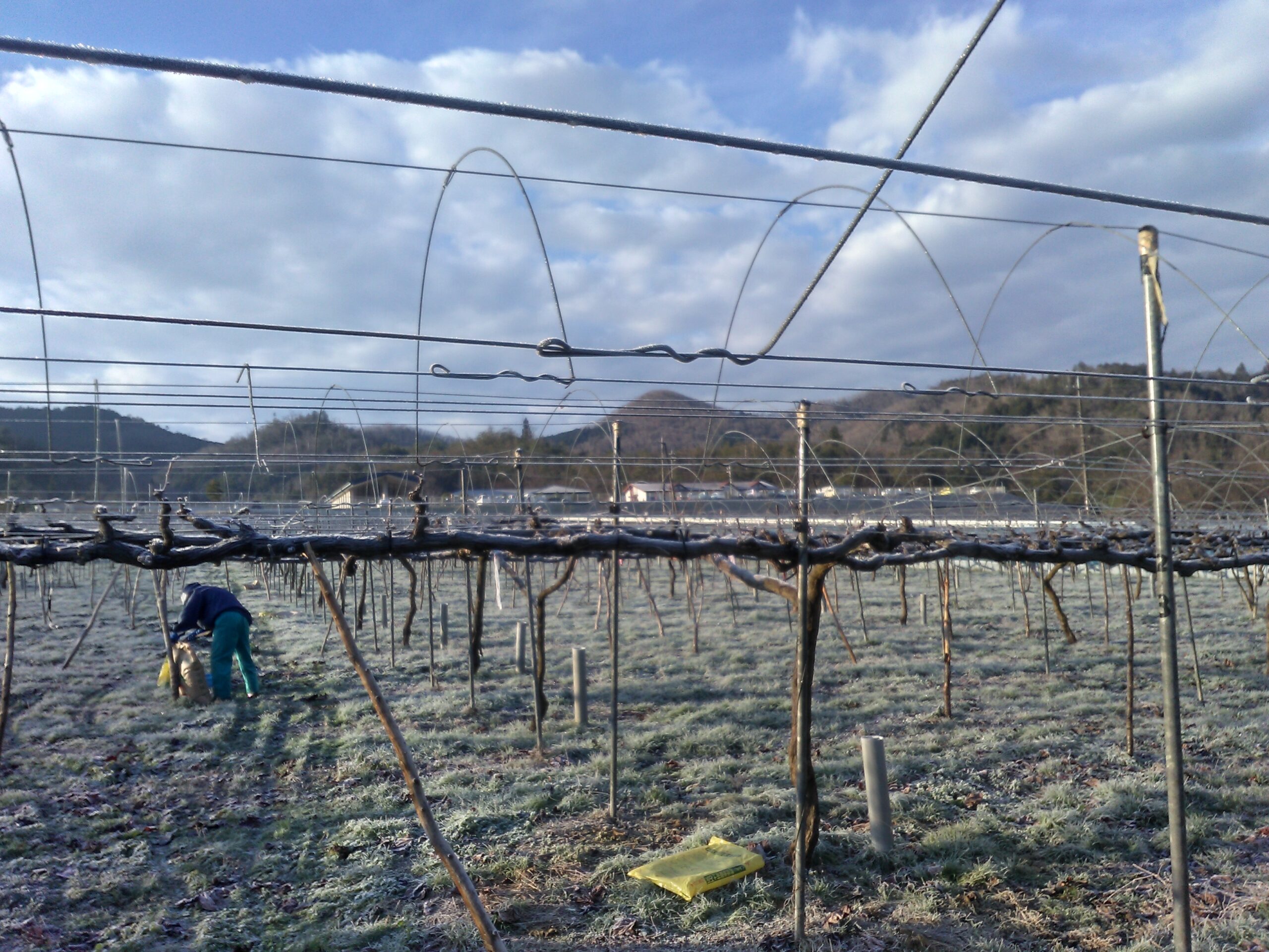 年末年始の営業時間